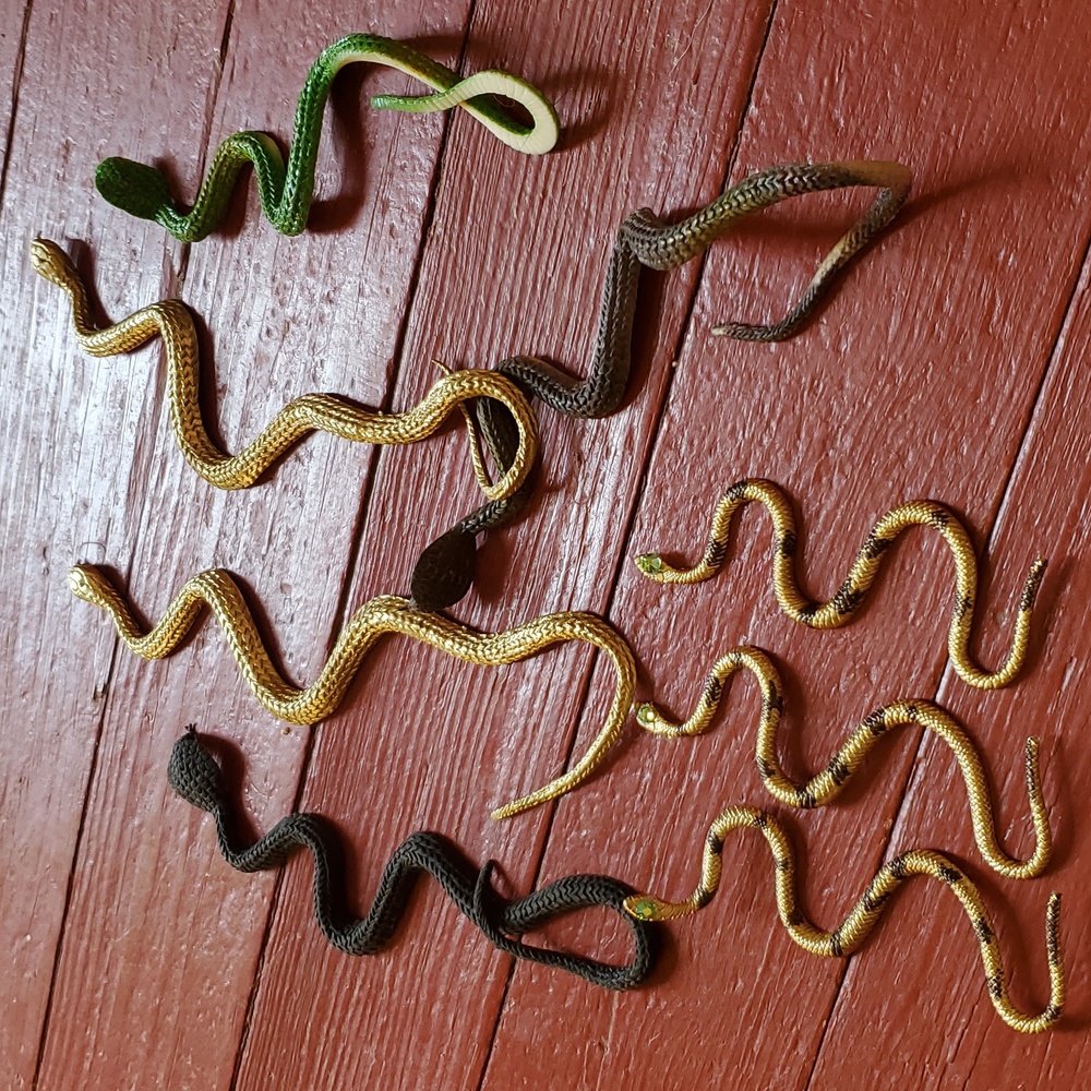 Fake Snakes
